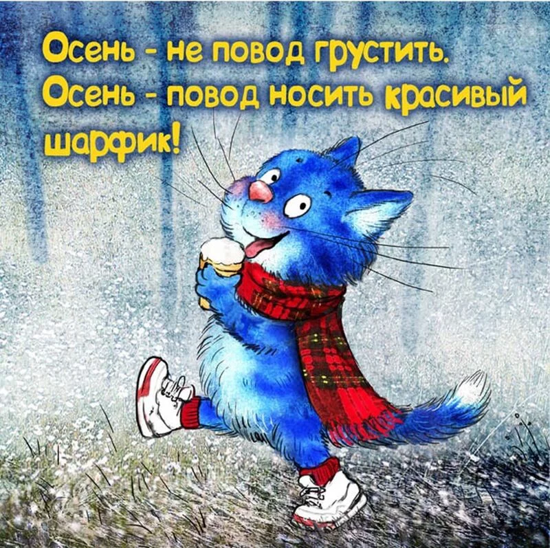 Позитивчик (фото, видео, рассказы для хорошего настроения)