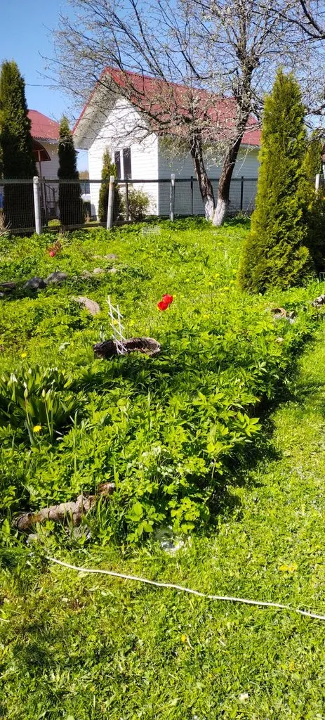 Чайная беседка