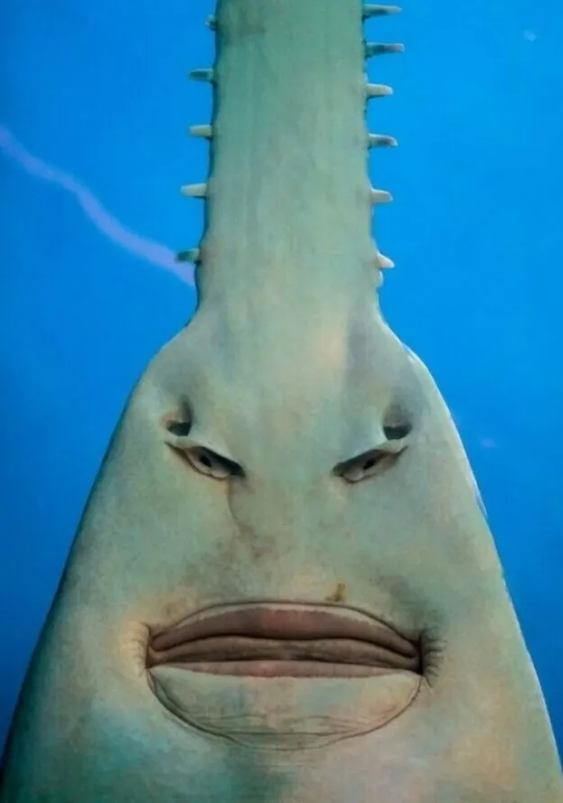 Посмеялся сам - поделись с другом!!!