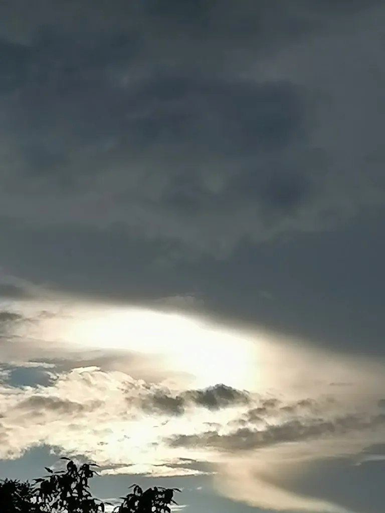 Чайная беседка