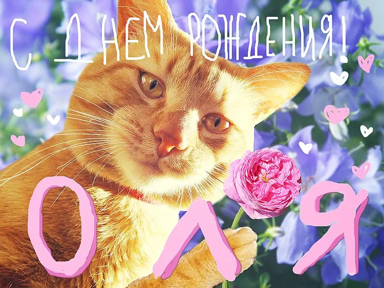 Tapтaлeтки & Ко