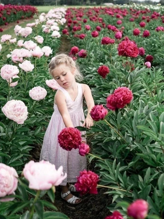 Фотонастроение