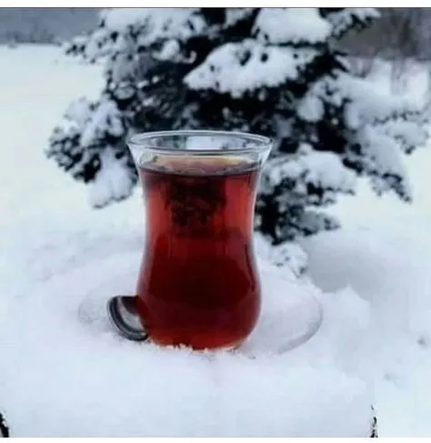 Чайная беседка