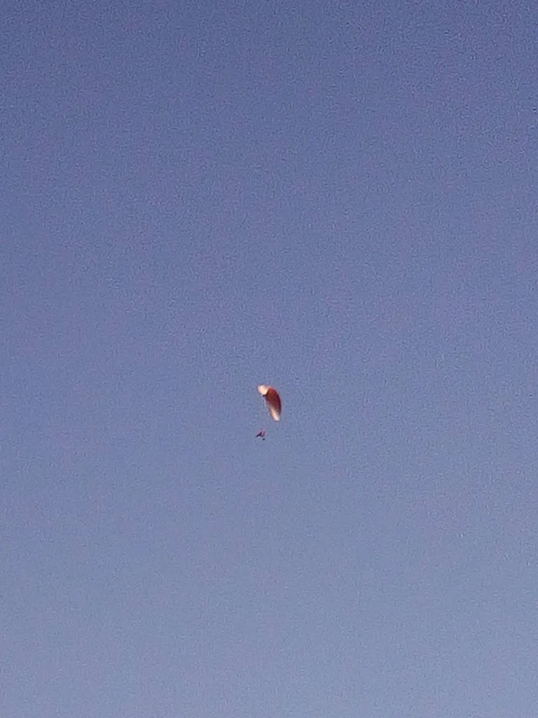 Чайная беседка