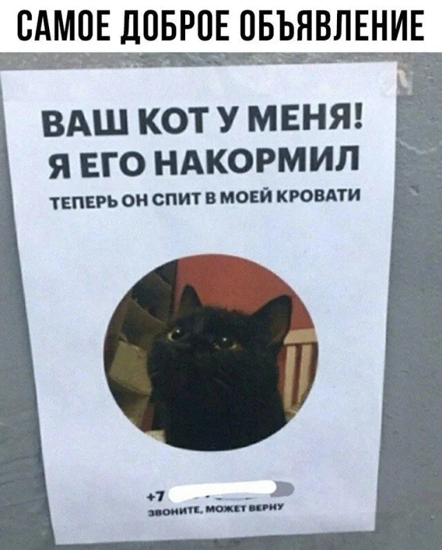 Прекрасное!