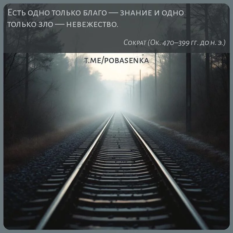 «Есть одно только благо — знание и одно только зло —...» height="550" width="550"