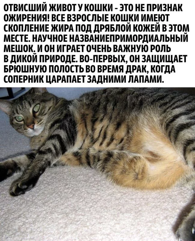 Это интересно!