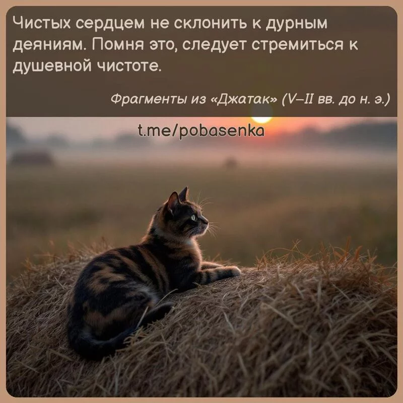 «Чистых сердцем не склонить к дурным деяниям. Помня это, следует стремиться к душевной...» height="550" width="550"
