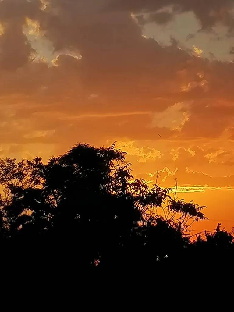 Чайная беседка