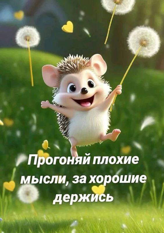 Позитивчик (фото, видео, рассказы для хорошего настроения)