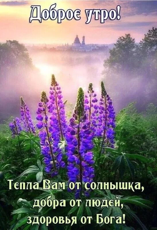 Кафе "У пани Сони"