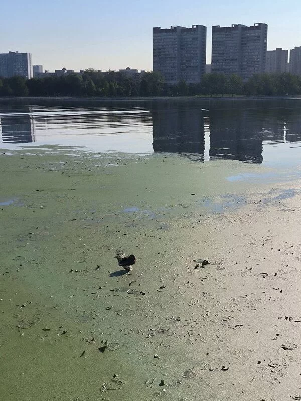 Коломенское