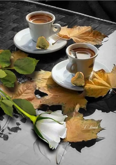 Tapтaлeтки & Ко