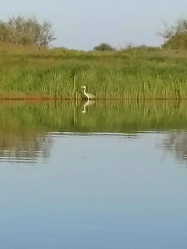 Фотонастроение