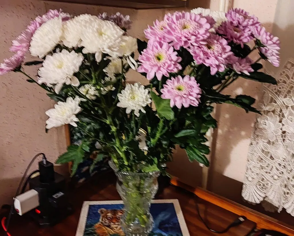 Чайная беседка