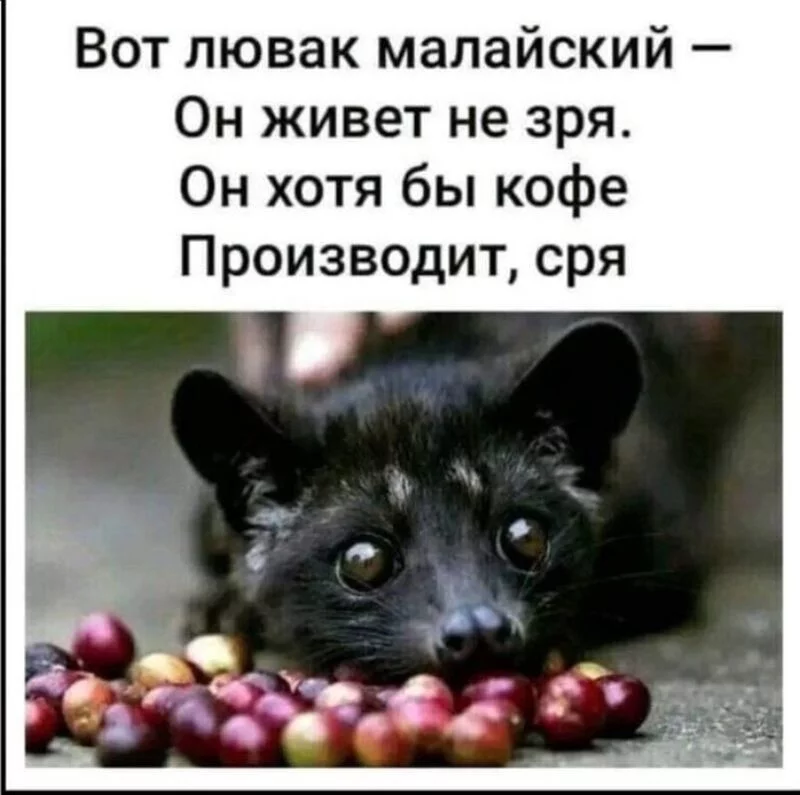 Посмеялся сам - поделись с другом!!!
