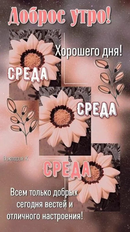 Кафе "У пани Сони"