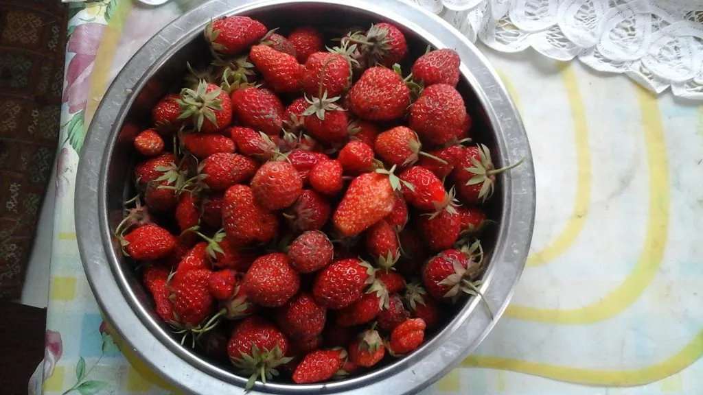 Чайная беседка