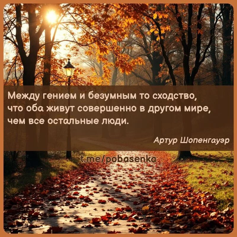 «Между гением и безумным то сходство, что оба живут совершенно в другом мире, чем все остальные...» height="550" width="550"