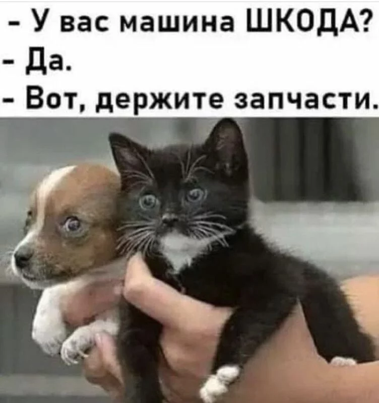 Посмеялся сам - поделись с другом!!!