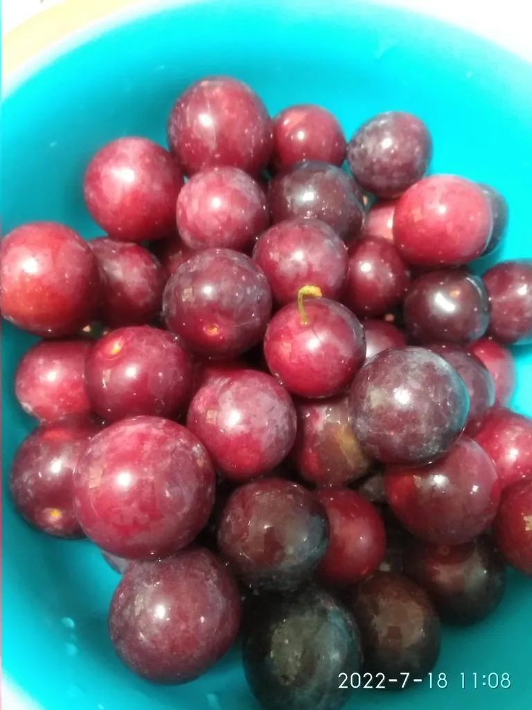 Кафе «У пани Сони»