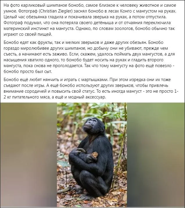 Это интересно!