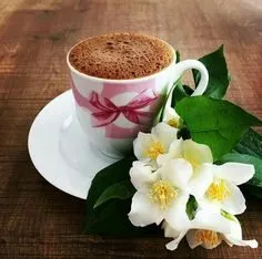 Чайная беседка