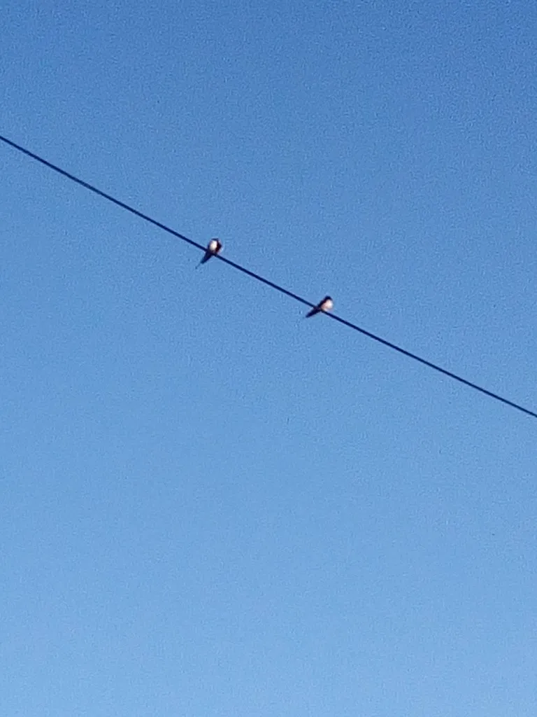 Чайная беседка