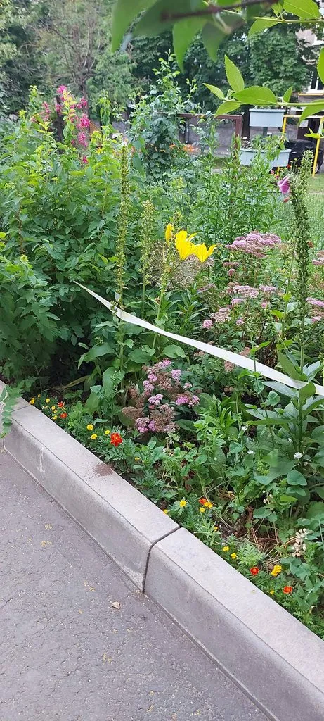 Чайная беседка