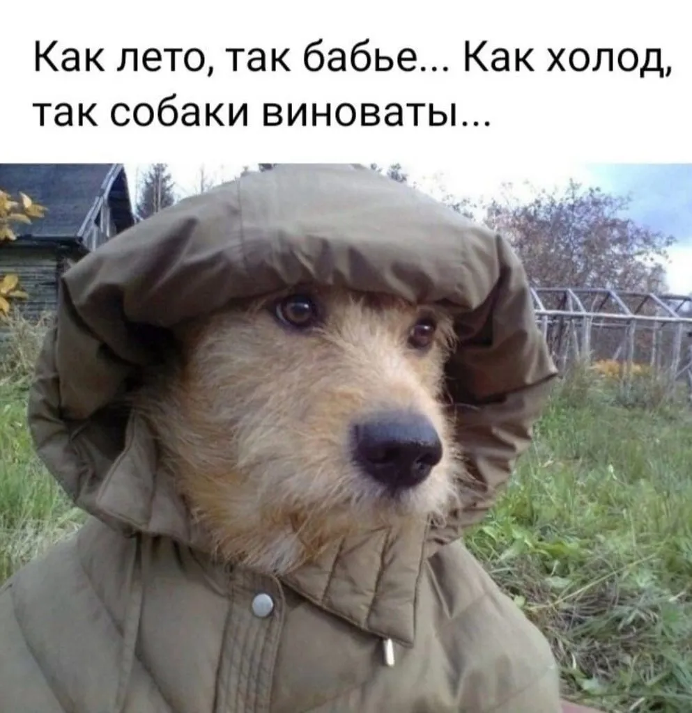 Посмеялся сам - поделись с другом!!!