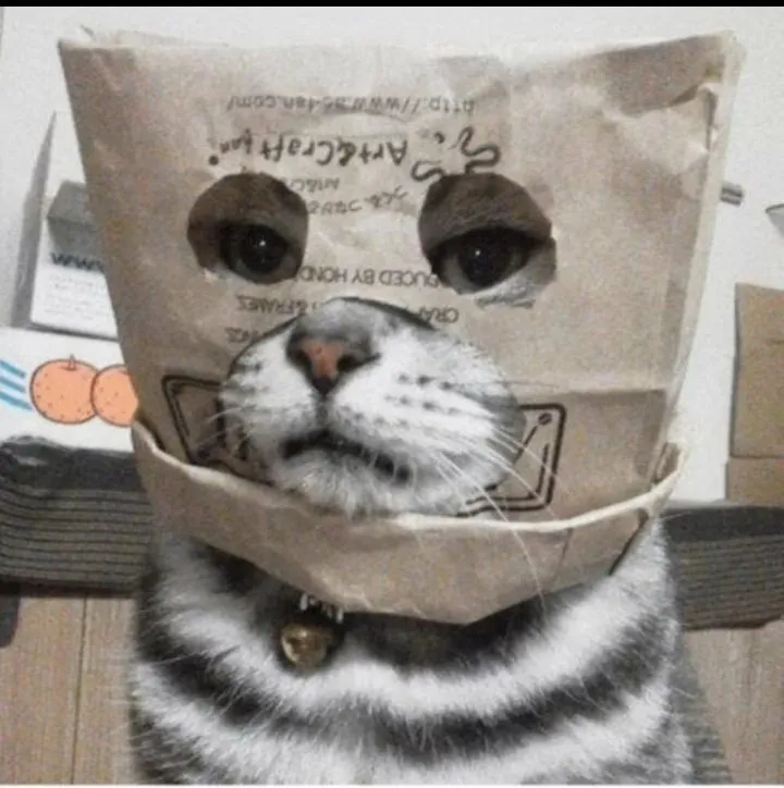 Кошичкина полиция
