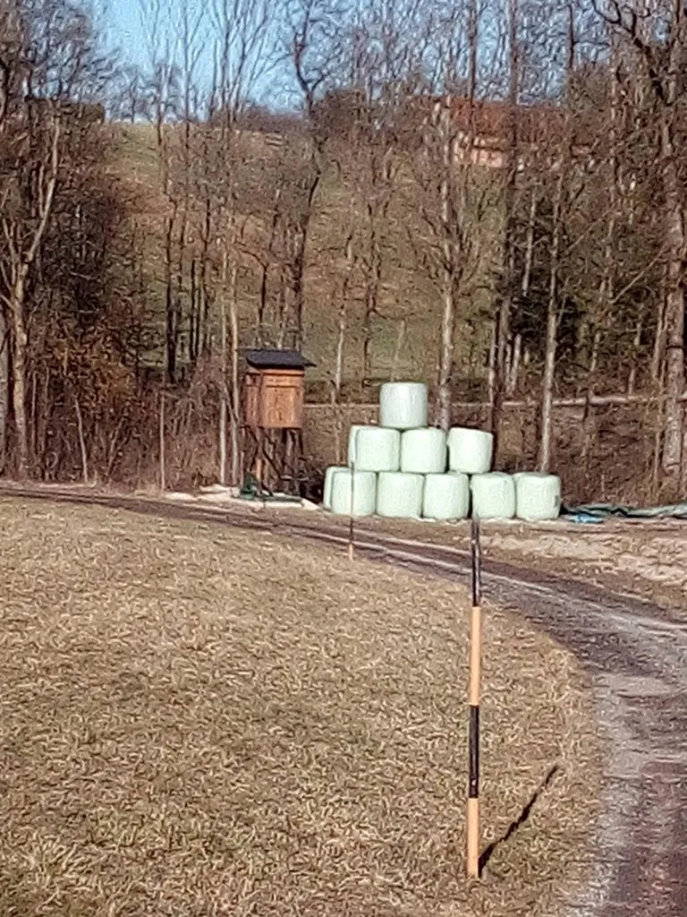 Мое австрийское житие