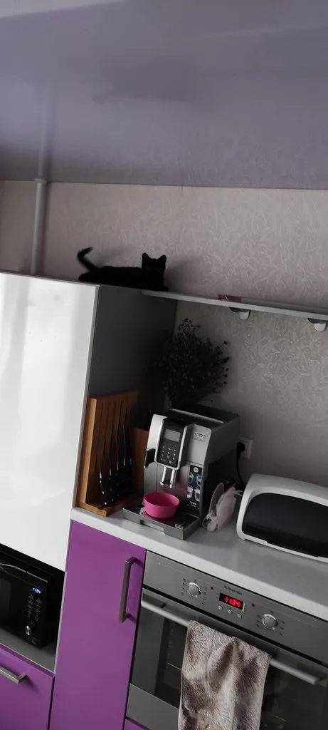 Tapтaлeтки & Ко