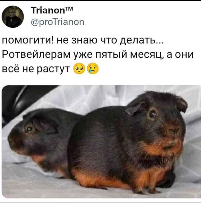 Посмеялся сам - поделись с другом!!!