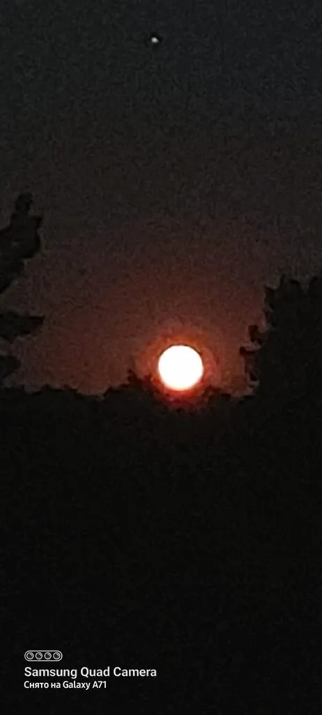 Tapтaлeтки & Ко