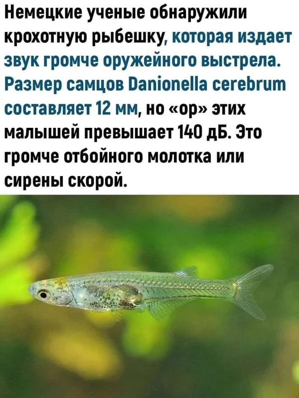 Это интересно!