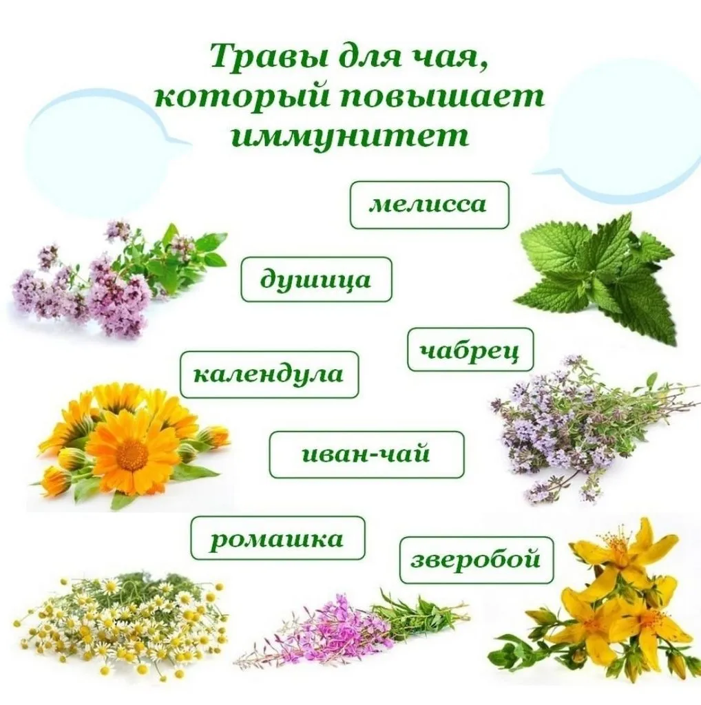 1001-й раз худеем 
