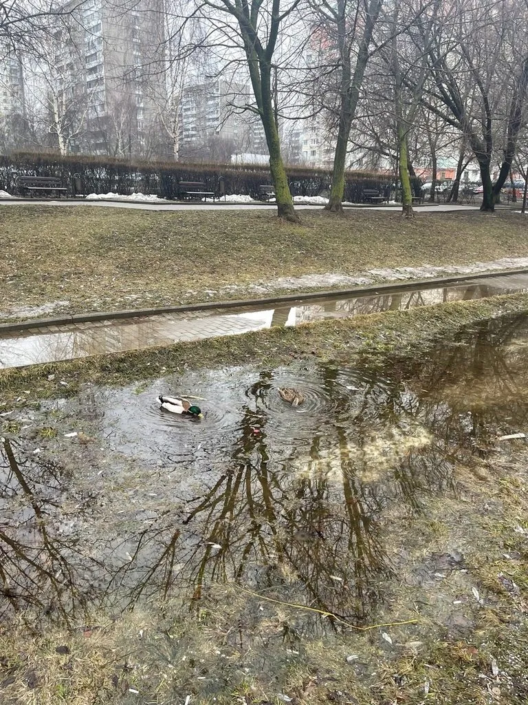 Коломенское