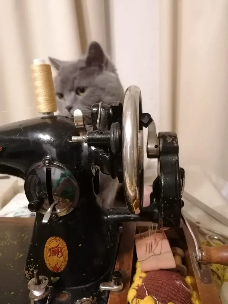 Tapтaлeтки & Ко