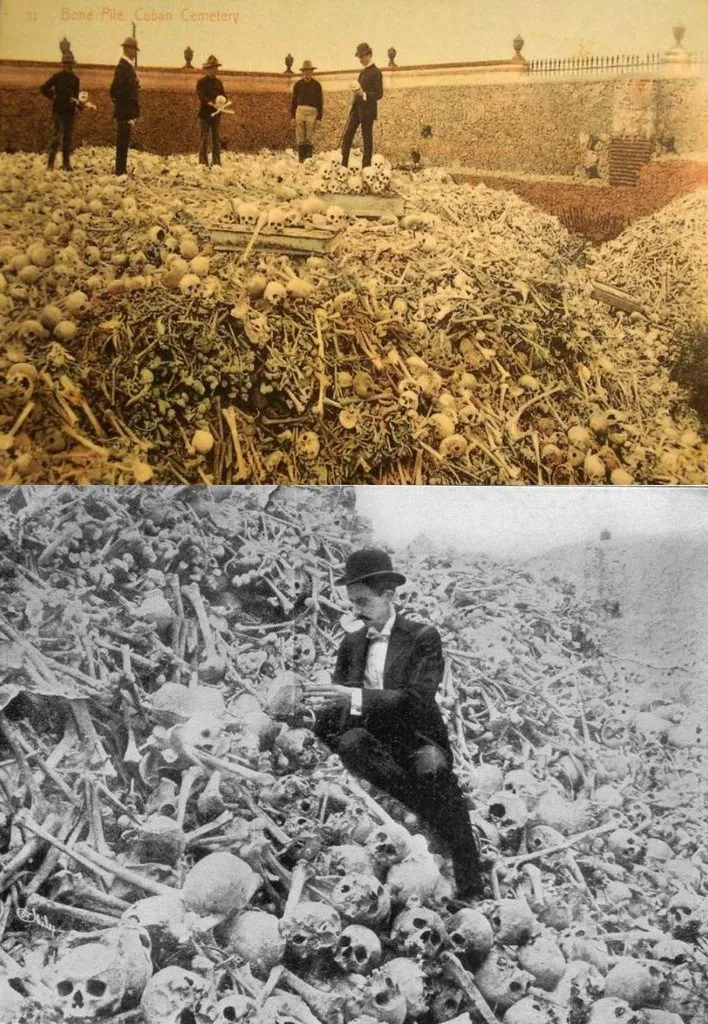 Запечатленная история