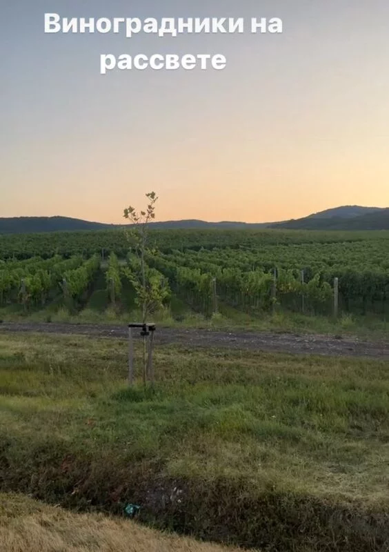 Чайная беседка