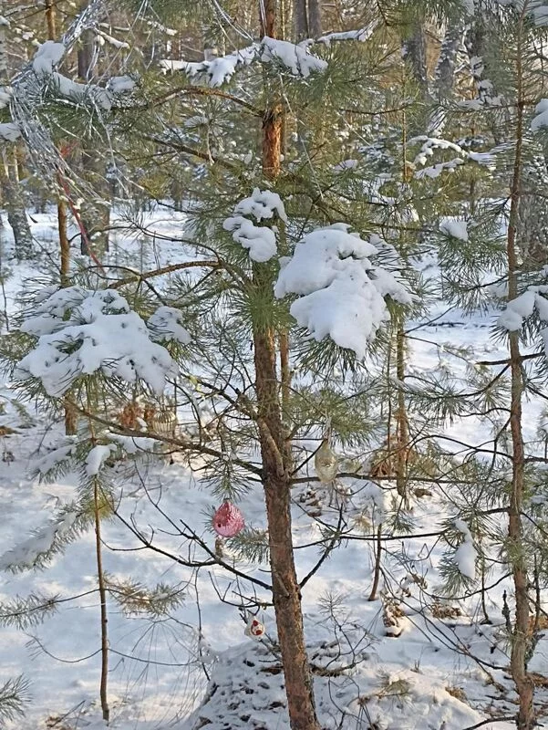 Фотонастроение