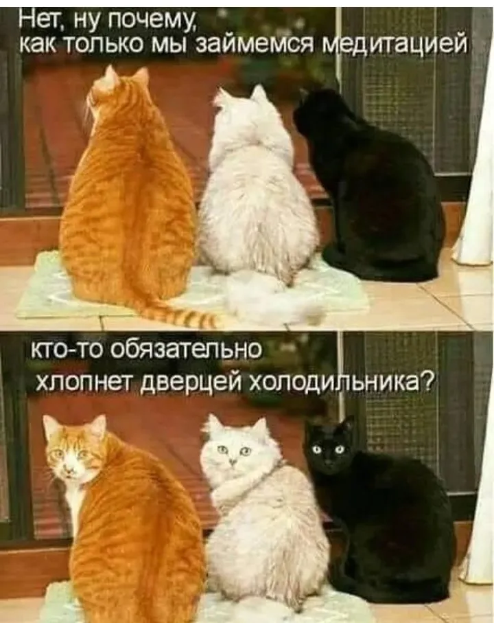 Посмеялся сам - поделись с другом!!!