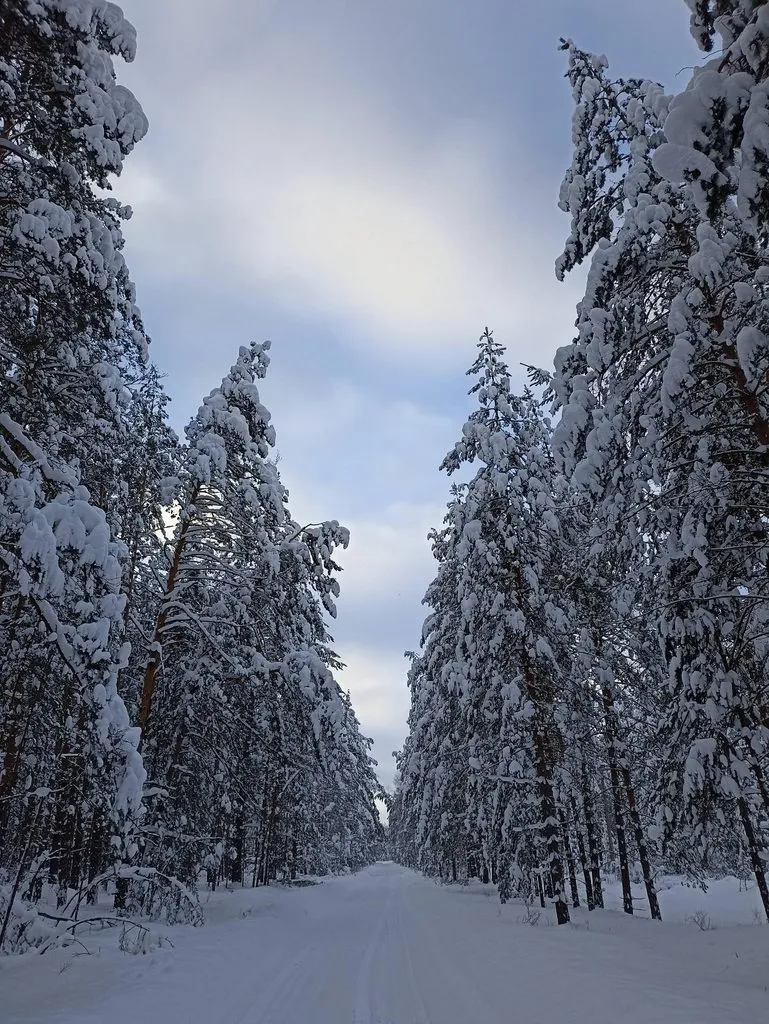 Фотонастроение
