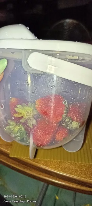 Tapтaлeтки & Ко