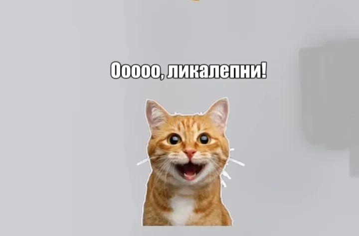 Кошичкина полиция