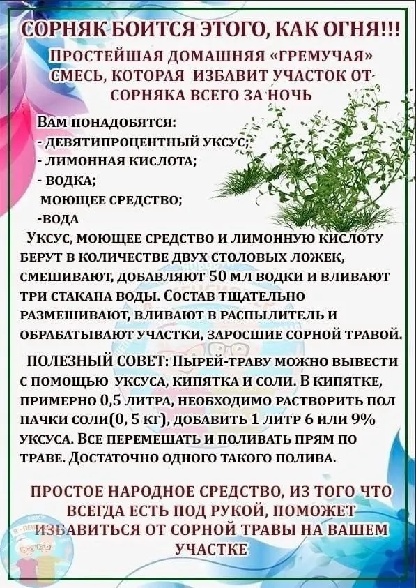 Домашняя инфографика
