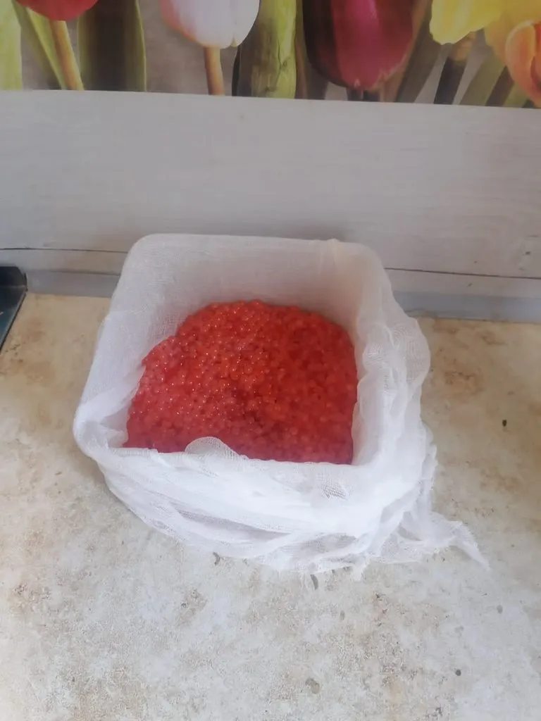 Где, что и когда купить в Москве