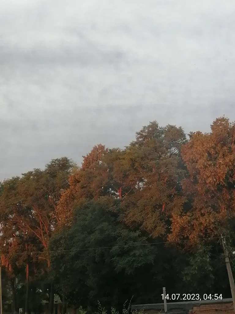 Чайная беседка