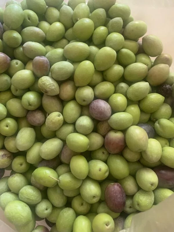 Tapтaлeтки & Ко